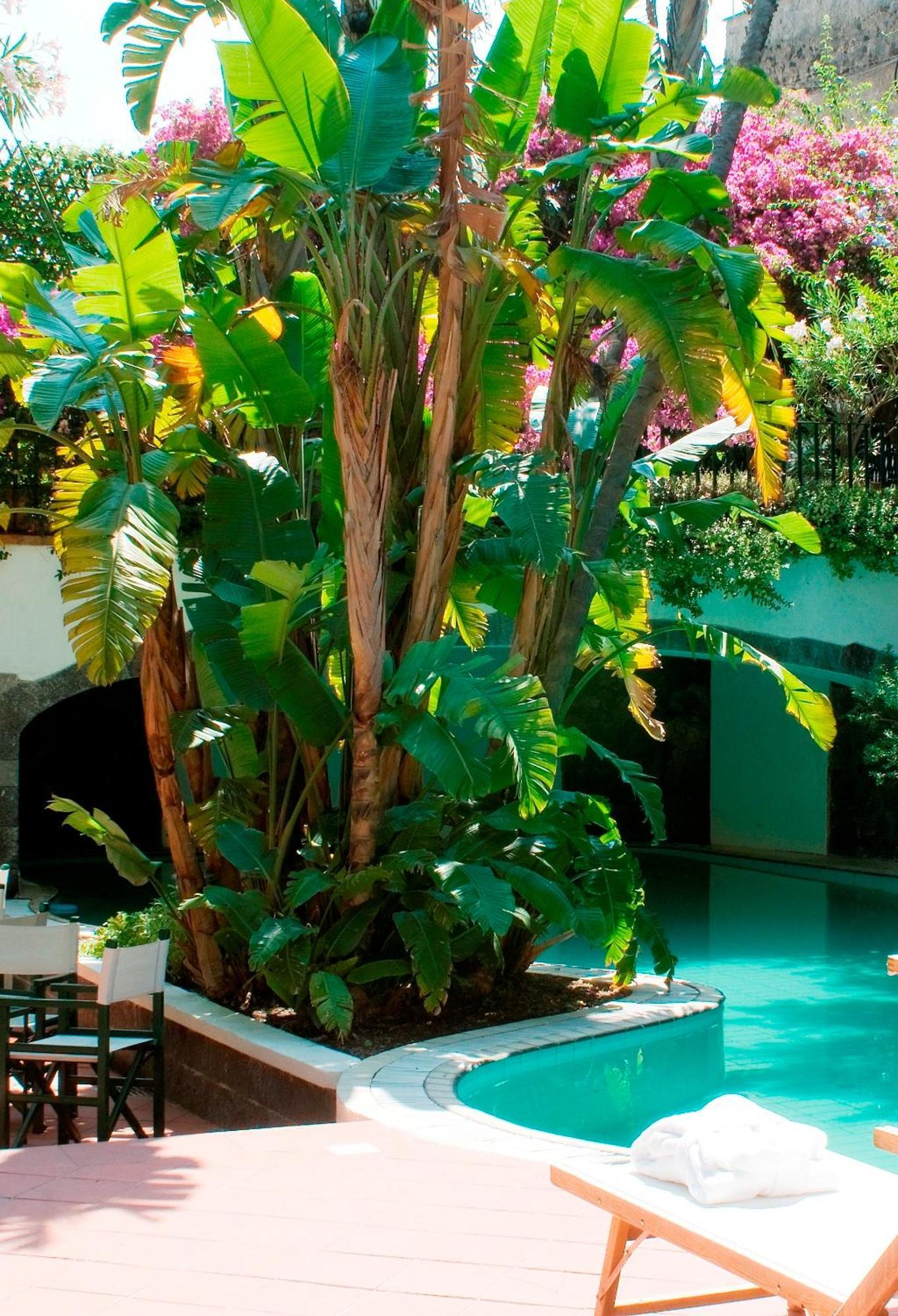 Hotel La Villarosa Terme Ischia Ngoại thất bức ảnh